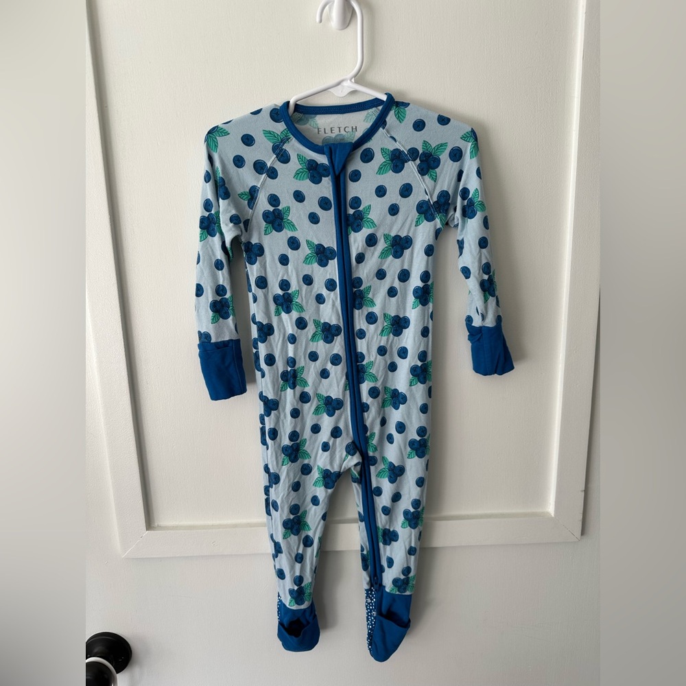 Fletch Brand Blueberry Zippy
